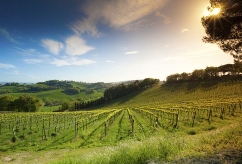 piemonte-0