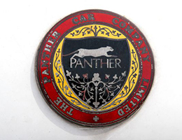 panther